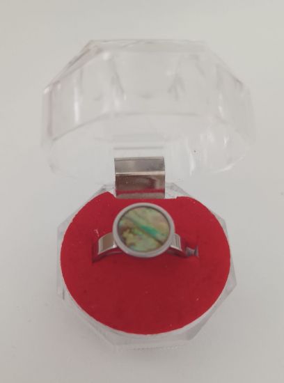 Imagen de anillos en acero quirurgico