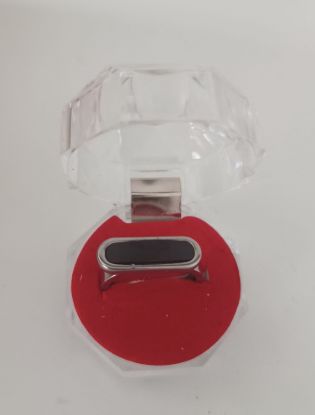 Imagen de anillos en acero quirurgico