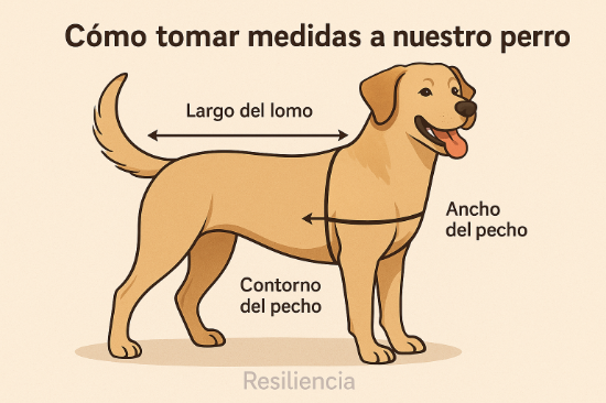 Imagen de Abrigo de mascota POLAR