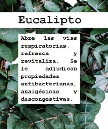 Imagen de ALMOHADILLA TERAPEUTICA DE SEMILLAS
