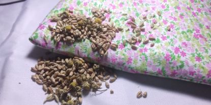 Imagen de ALMOHADILLA TERAPEUTICA DE SEMILLAS
