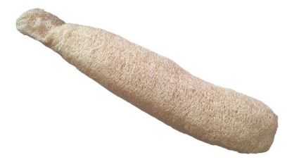 Mostrar detalles de Esponja vegetal- lufa Imagen de Esponja vegetal- lufa