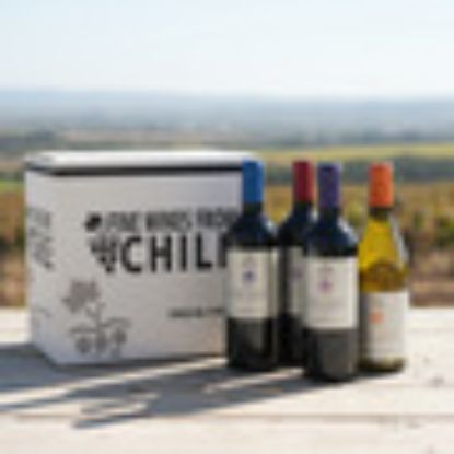 Imagen de Vino chileno undurraga x 12 unid