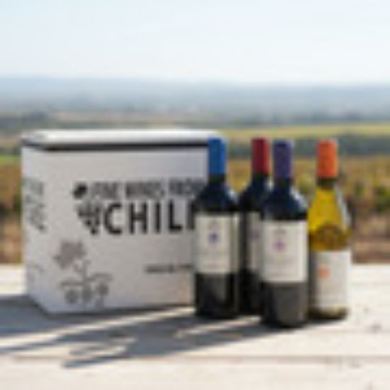 Imagen de Vino chileno undurraga x 12 unid