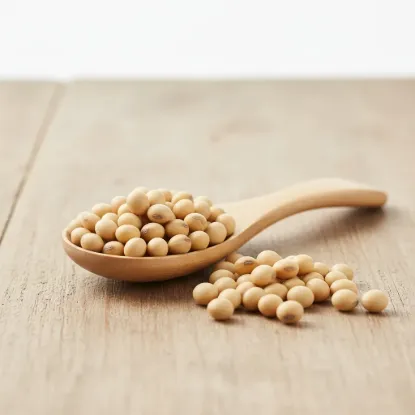 Imagen de Porotos de soja 5 kg