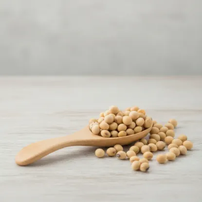 Imagen de Porotos de soja 1kg