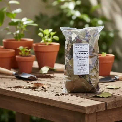 Imagen de Graviola 100  g