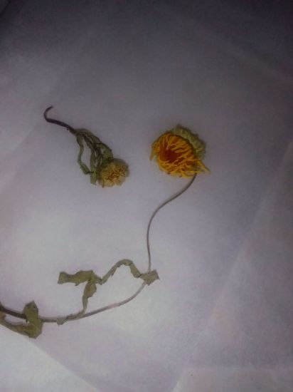 Imagen de Mi Primer Kit de Journaling – Pieza Única Curaduría Artesanal